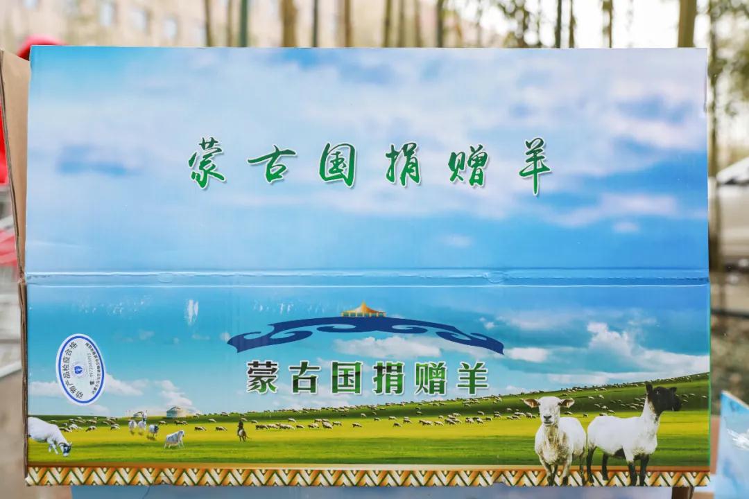援鄂醫(yī)療隊(duì)：“暖羊羊”來啦！