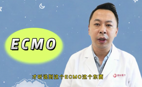 什么是ECMO？