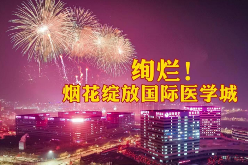 絢爛！煙花綻放國際醫(yī)學(xué)城